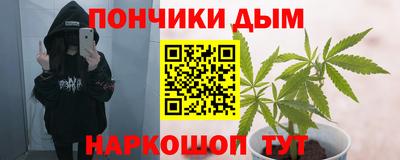 шишки Аргун