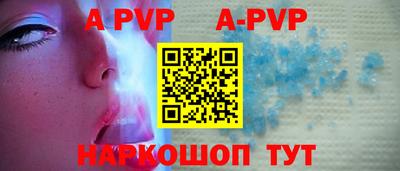 шишки Аргун